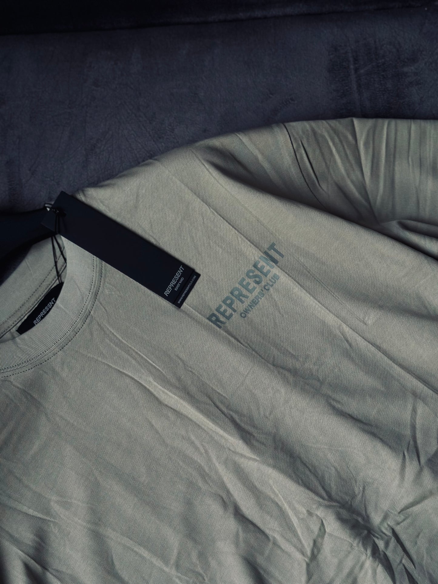 CAMISETA OVERSIZE REP VERDE MENTA CLASICO