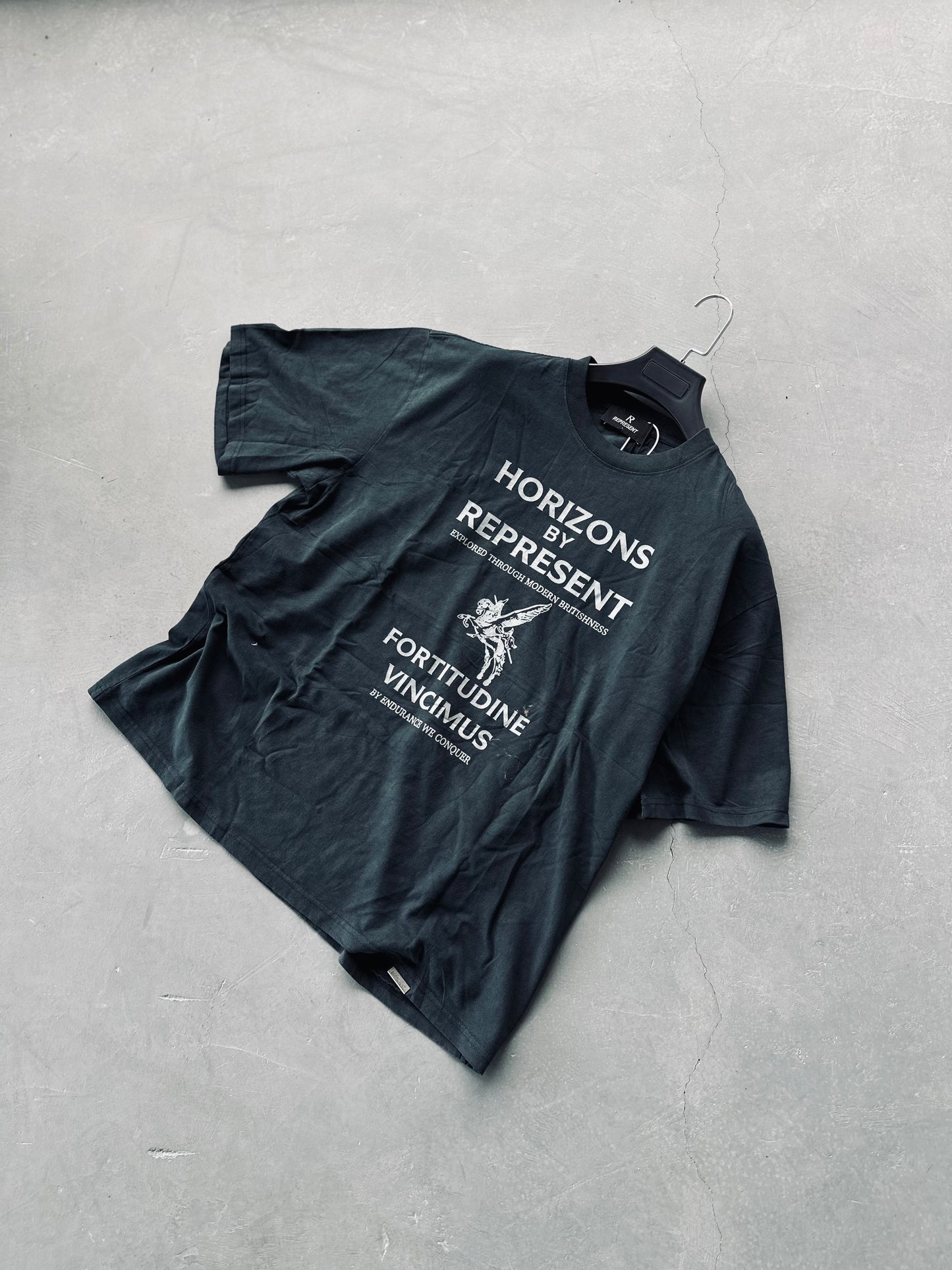 CAMISETA OVERSIZE REP GRIS HORIZONS
