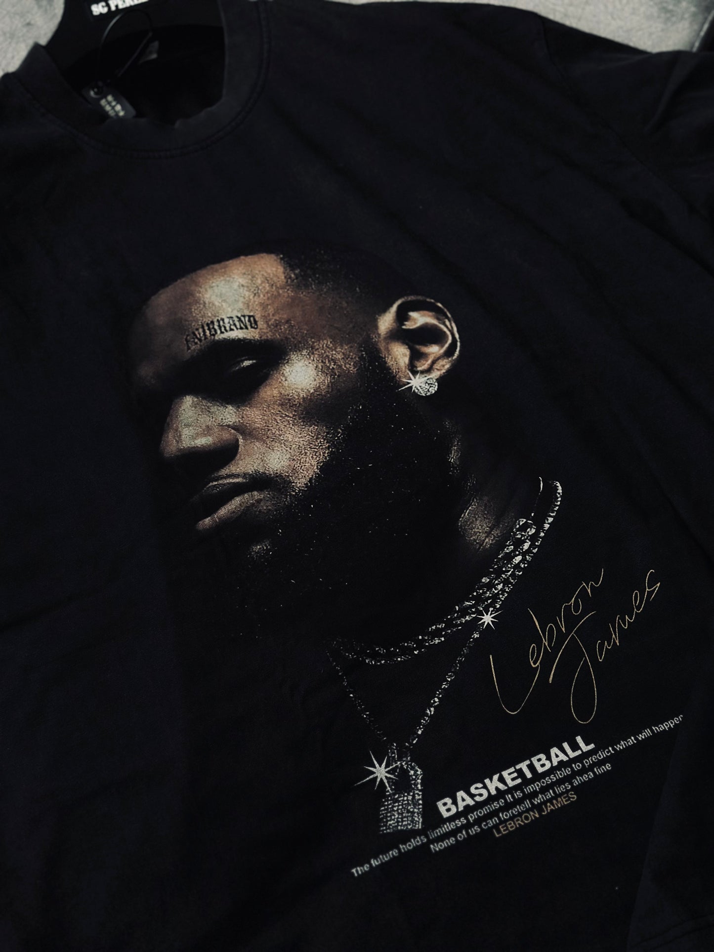 CAMISETA OVERSIZE SAI GRIS LEBRON JAMES