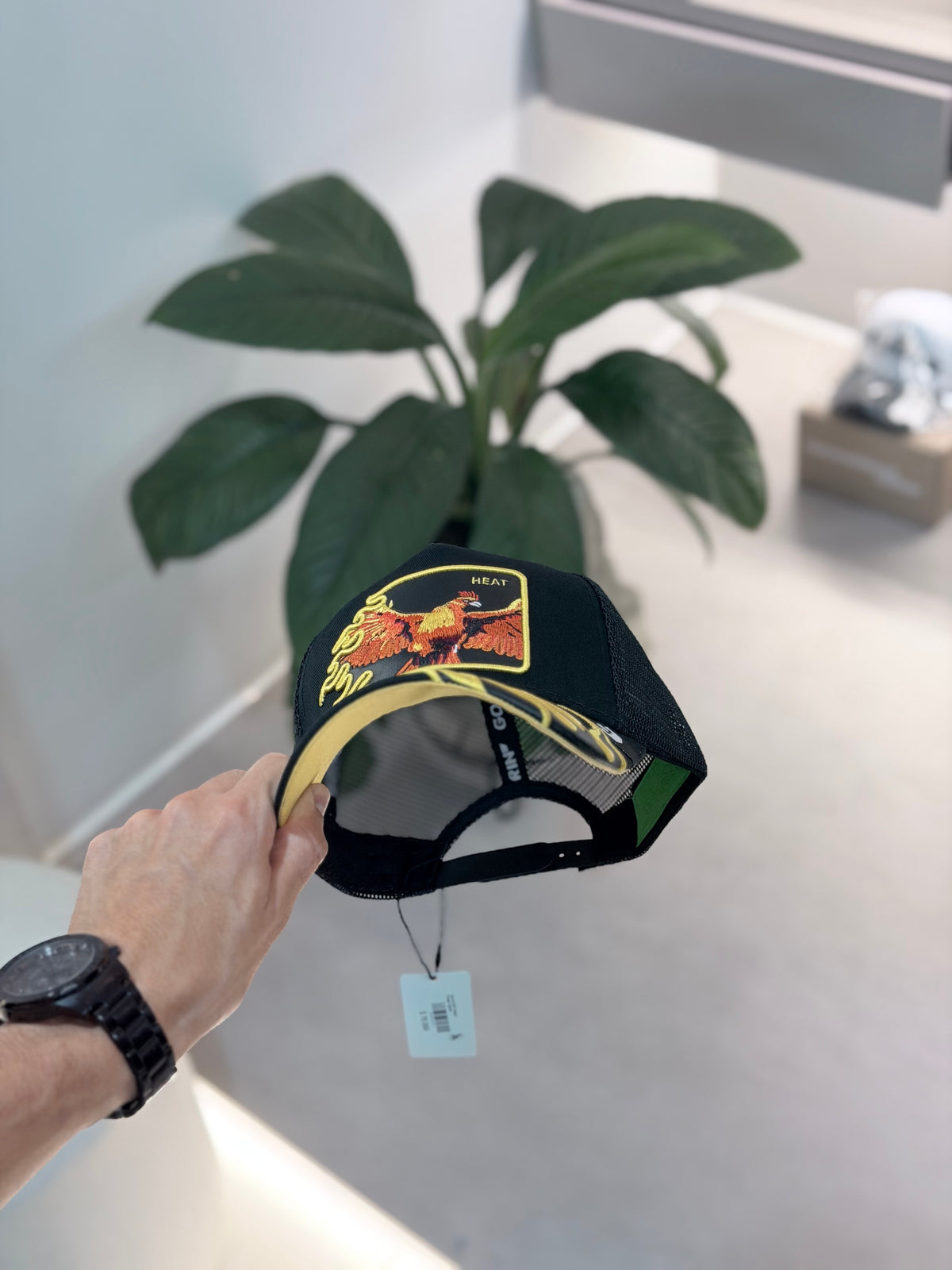 GORRA GOO NEGRA FUEGO AGUILA