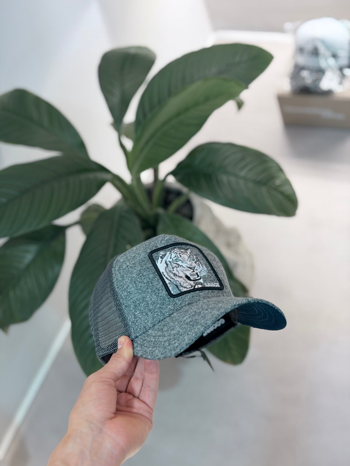 GORRA GOO GRIS TIGRE