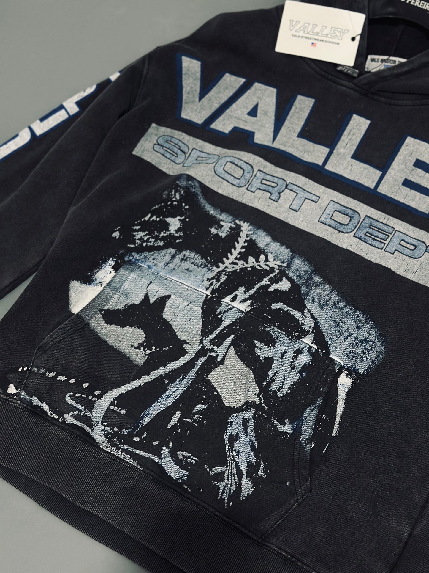 HOODIES VAL GRIS PERRO DETALLE AZUL