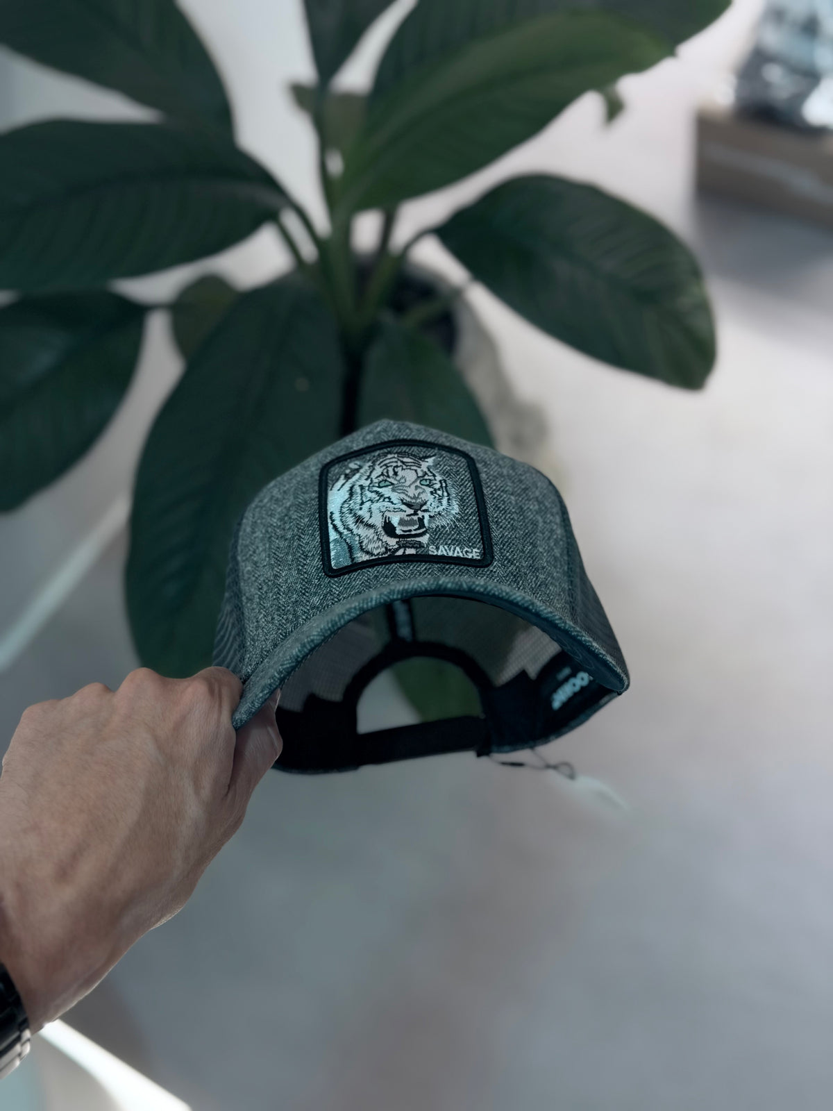 GORRA GOO GRIS TIGRE