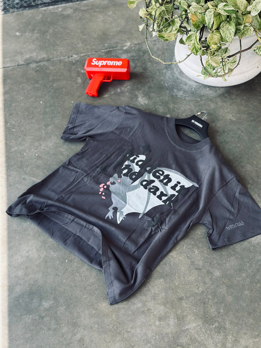 CAMISETA OVERSIZE BRO GRIS VAMPIRO