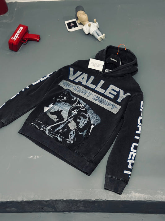 HOODIES VAL GRIS PERRO DETALLE AZUL